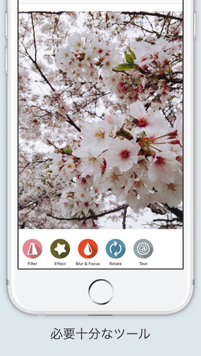 Screenshot #3 pour Filter - 写真にフィルタをかけシェアする最もシンプルな無料アプリ