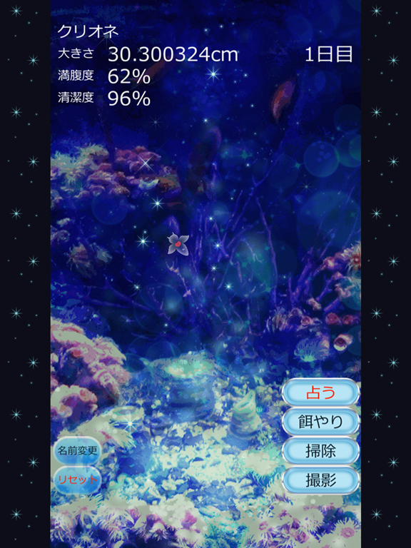 Screenshot #5 pour しあわせのクリオネ育成ゲーム