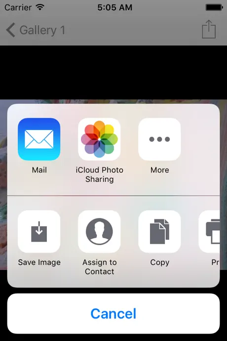 The Image Converter JPG JPEG