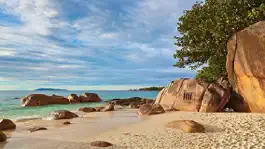 Game screenshot Deserted Island Escape 2 apk