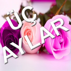 螢幕擷取畫面 (5) Üç Aylar