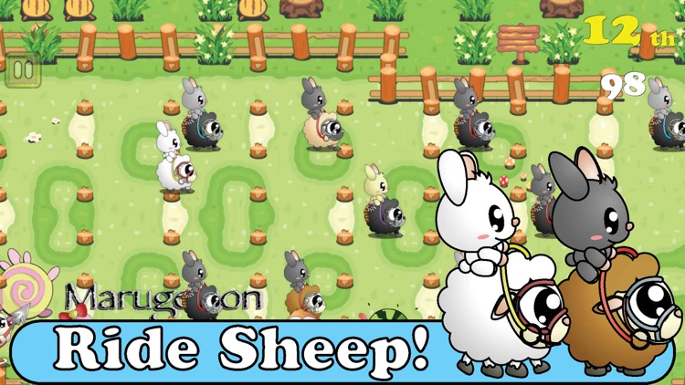 Sheepo Race - PPBunny Rider