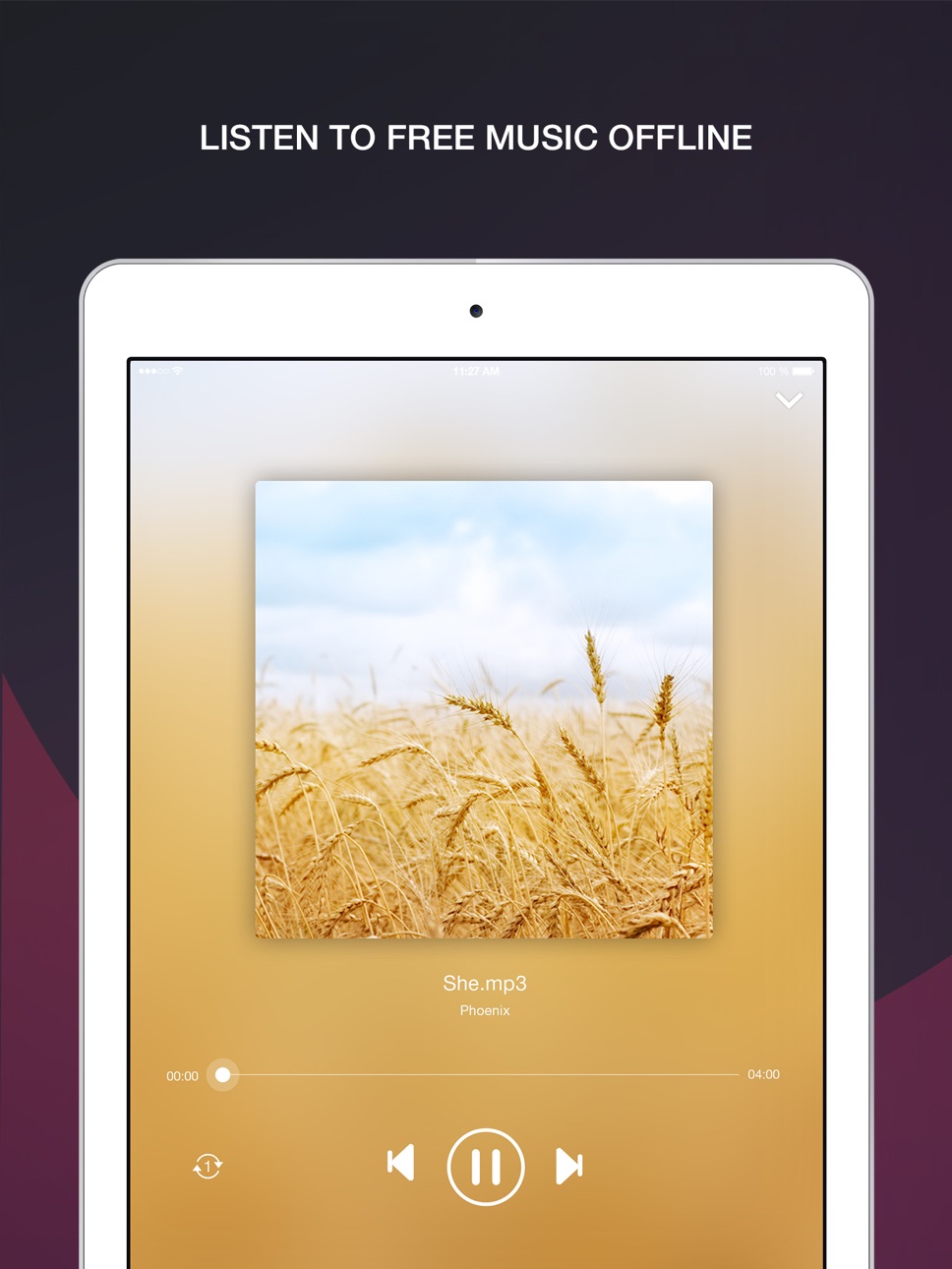 iPad screenshot