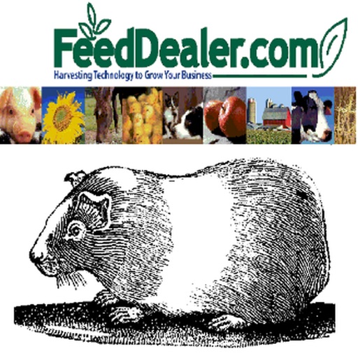 Guinea Pig Breeding Calculator
