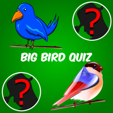 Activities of Big Bird Watchers Quiz Maestro: Ornithology Watching Word Trivia