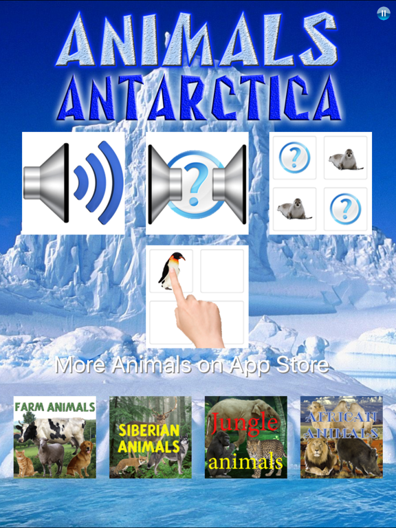 Screenshot #4 pour Animaux Antarctique