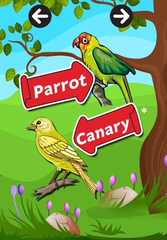 Learn English Vocabulary V.5 : learning Education games for kids and beginner Free screenshot 3