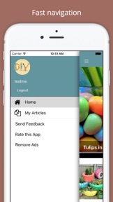 DIY Decor Project Ideas screenshot