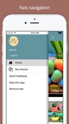 DIY Decor Project Ideas screenshot 4