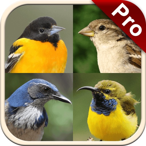 Perching Birds PRO: SMART guide to beautiful Singing Birds with Games & Puzzles icon