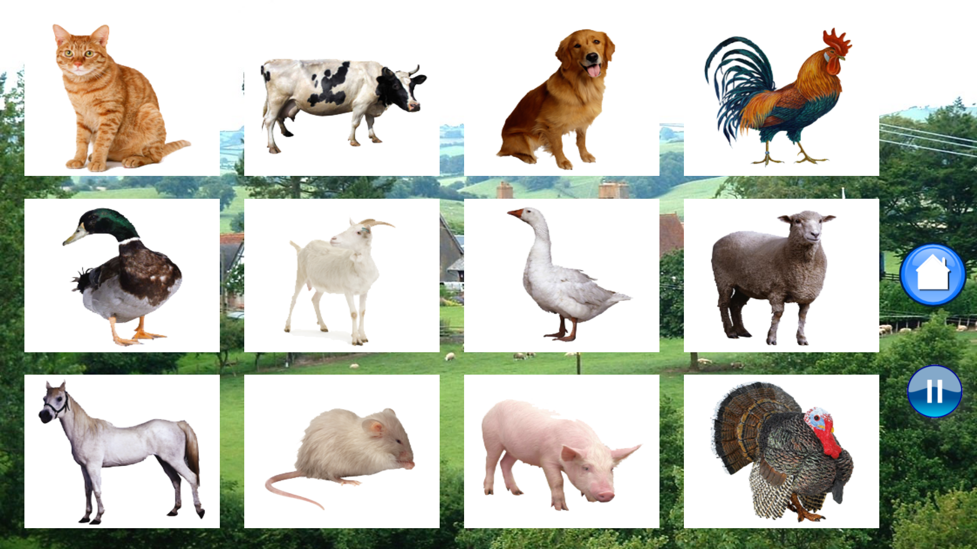 Sounds of Farm Animals screenshot 9