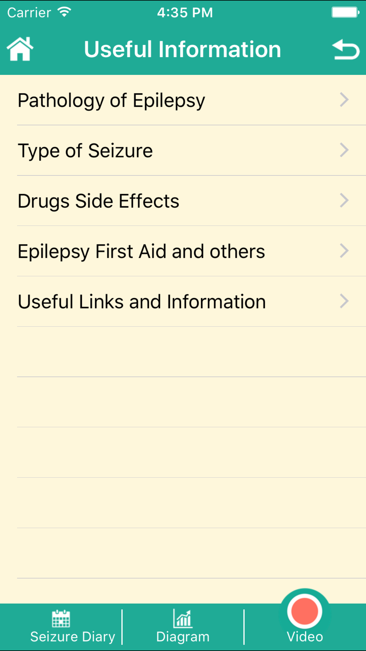 E-Epilepsy Inclusion