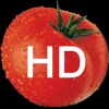 Ketchup HD