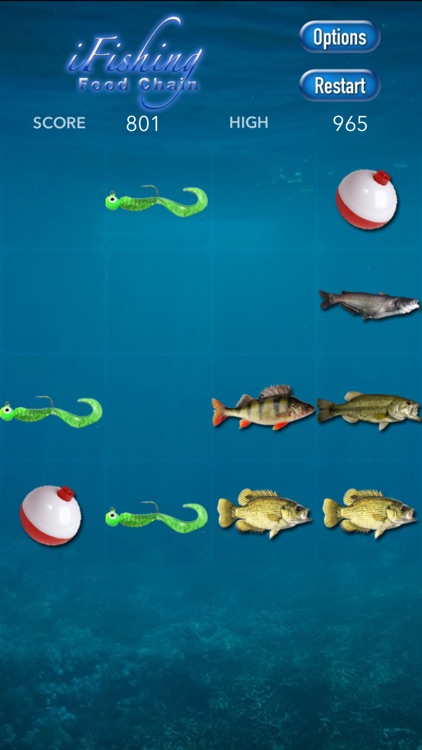 i Fishing Food Chain
