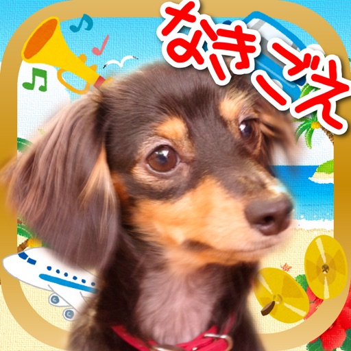 鳴き声タッチ-動物・乗り物・楽器の写真と音 app icon