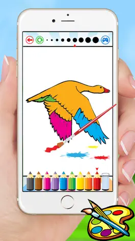 Game screenshot Bird Coloring Book for Kids - Children Drawing free games hack