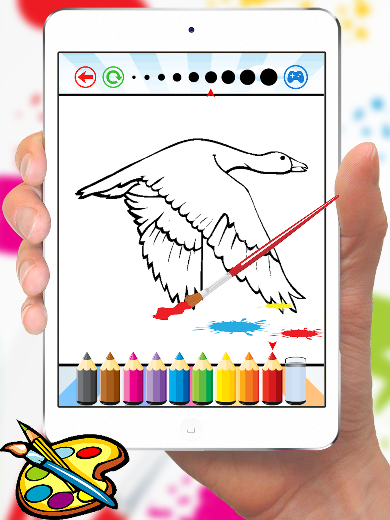 Bird Coloring Book for Kids - Children Drawing free games