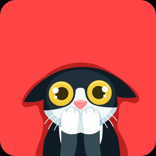 Cat - Discover and share cats pictures and videos