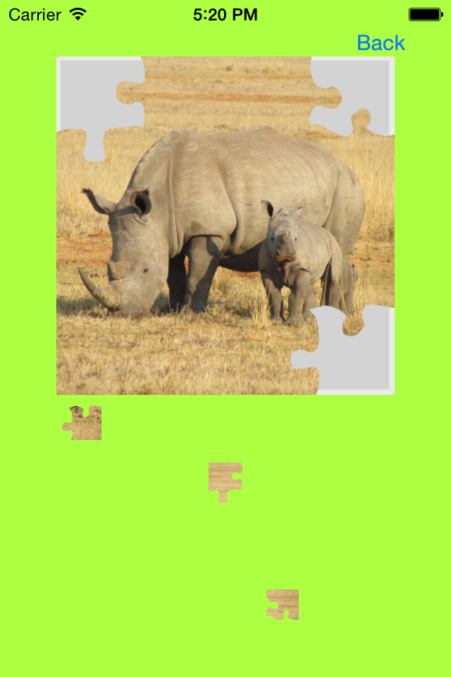 Safari Animals Jigsaw Puzzles