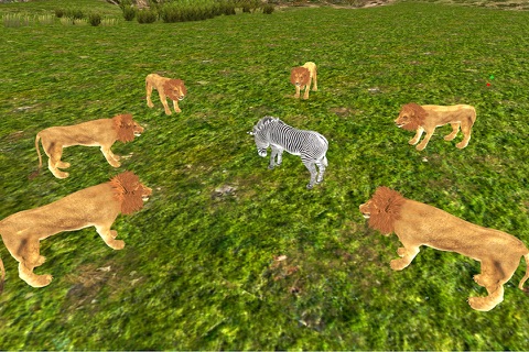 Angry Lion 3D Simulator - Wild Lions Jungle Attack Survival Game screenshot 3