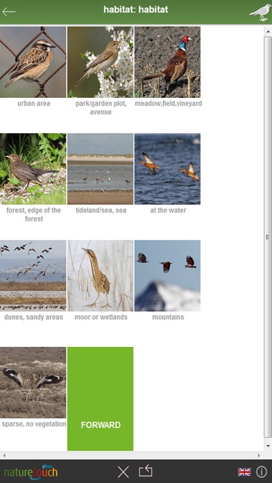 Identify 500 birds, naturetouch Screenshot