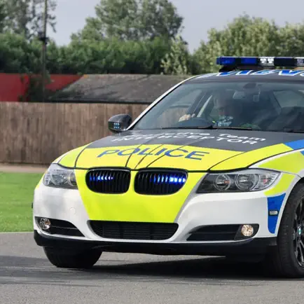 Police Car Driving 3D Simulator Cheats