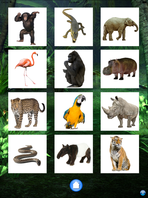 Screenshot #6 pour Sounds of Jungle