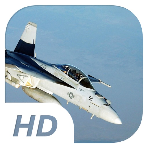 Big Fury 17 - Flight Simulator - Fly & Fight Icon