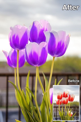 Color Recolor Effects Pro - Black & White Photo Editing App to create color effects screenshot 2