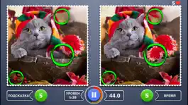 Game screenshot Где разница? - Найдите и отметьте на фото пять ретушированных мест apk