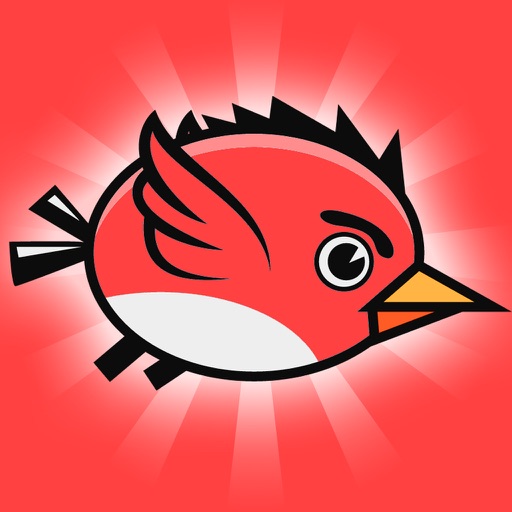 Fly Red Bird - PRO iOS App