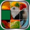 Animals Sliding Puzzle Game – Move and Match Pieces to Put Together Cute Pets Photos