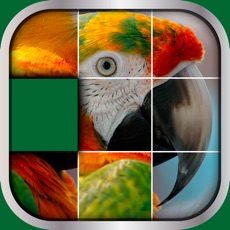 Activities of Animals Sliding Puzzle Game – Move and Match Pieces to Put Together Cute Pets Photos