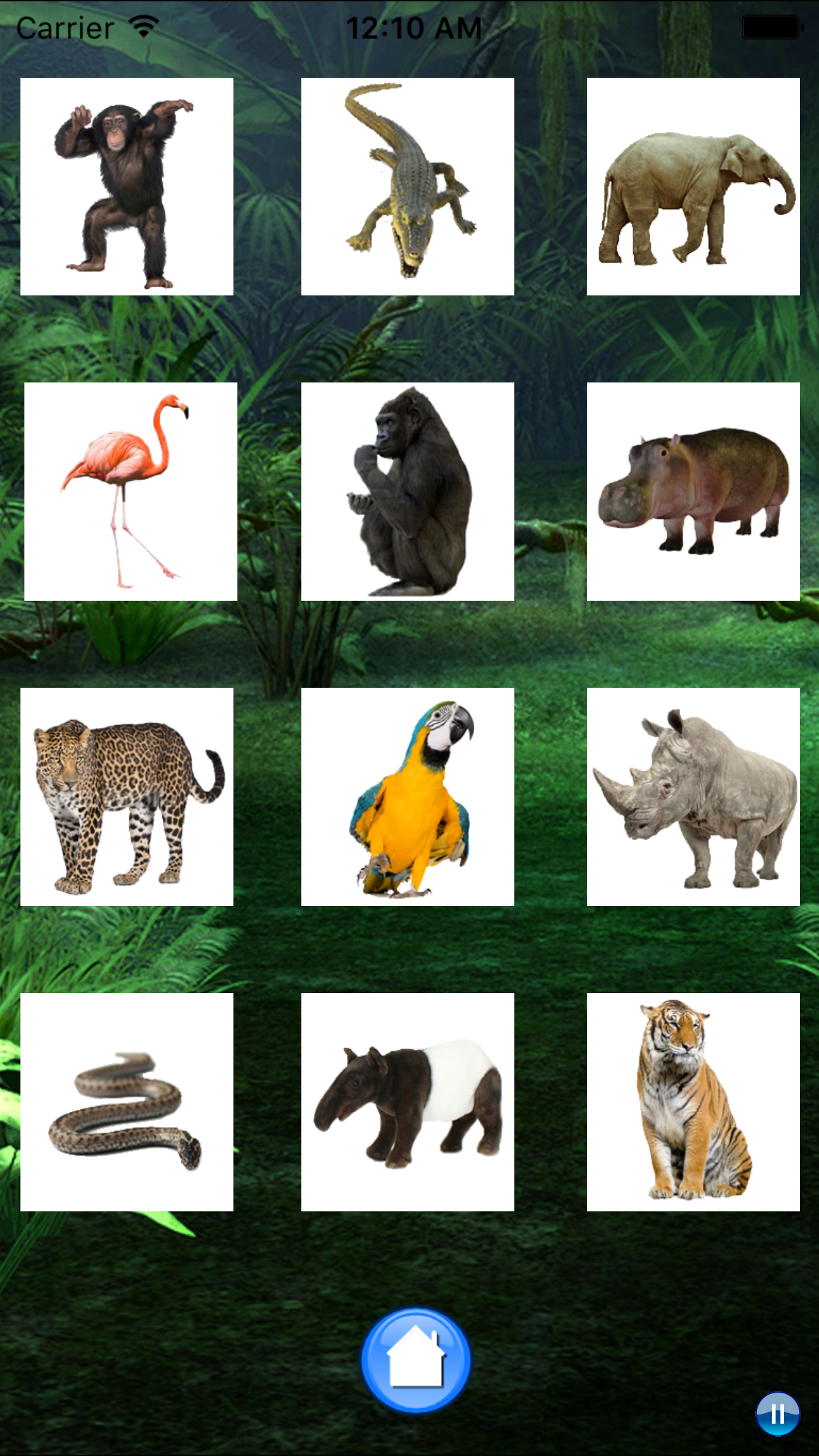 Sounds of Jungle screenshot 4