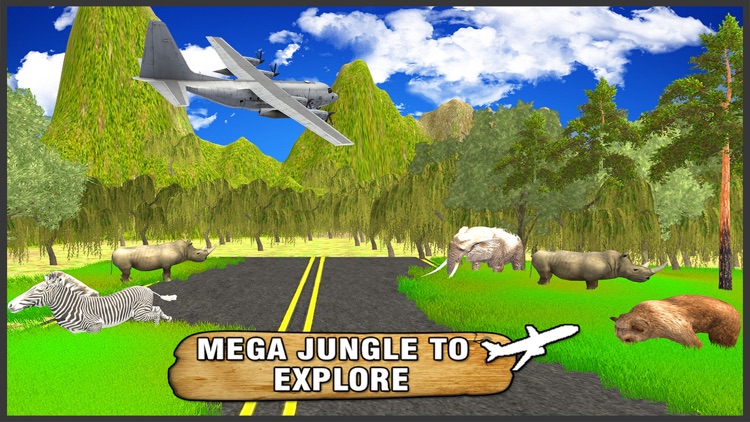 Cargo Plane Animal Transport