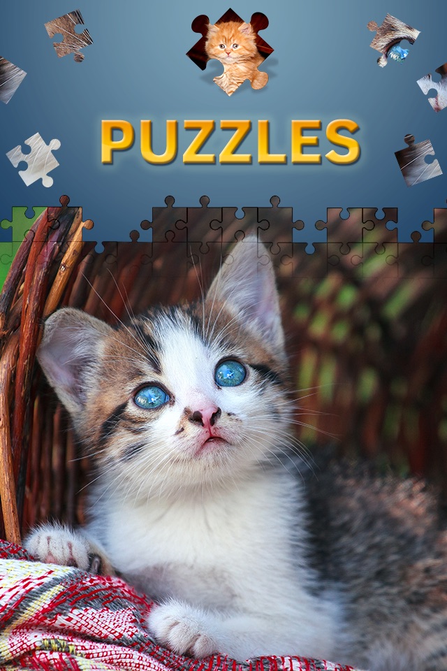 Cats Jigsaw Puzzles 2017 screenshot 3