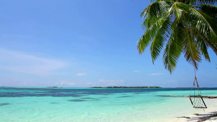 Screenshot #2 pour Relaxing Beach Videos — The best internet videos