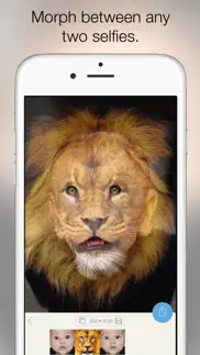 morphy - face morph gif & movie maker iphone screenshot 2