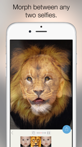 Morphy - Face Morph GIF & Movie Maker screenshot