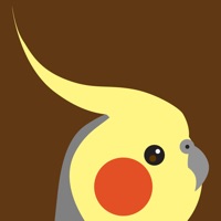 Cockatiel Color Palette app icon - Education app for iPhone