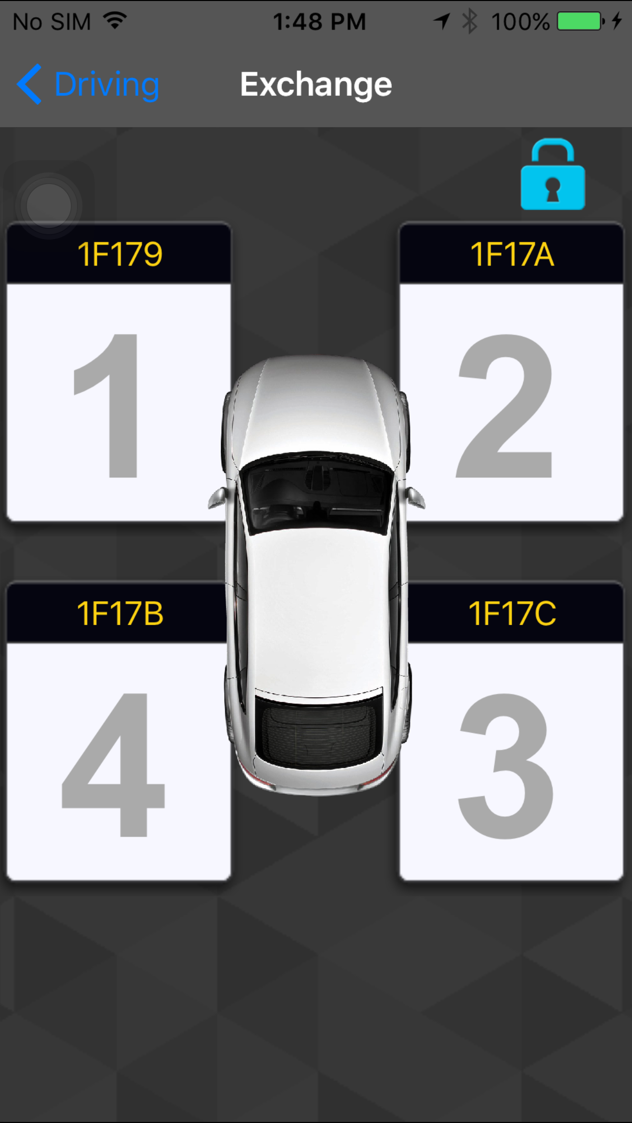 SAIC TPMS screenshot 5