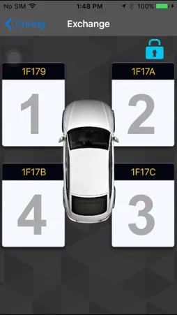 SAIC TPMS screenshot 5