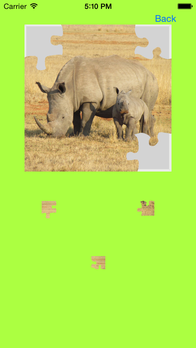 Safari Animals Jigsaw Puzzles