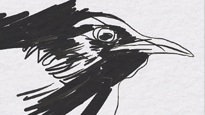 Pen HD Free Screenshot