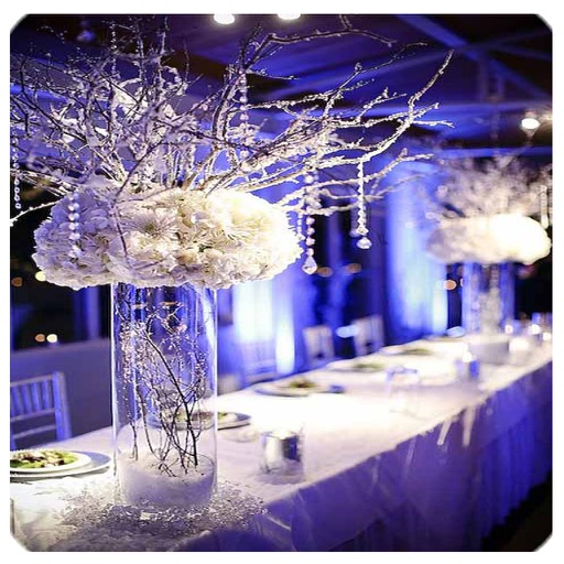 Wedding Decoration Designs