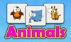 Animals Matching Learning Cards Puzzle