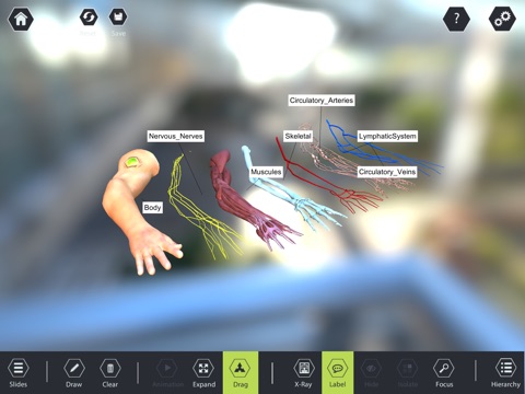 Modest3D Explorer screenshot 2