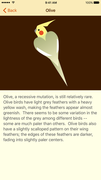 Cockatiel Color Palette Screenshot