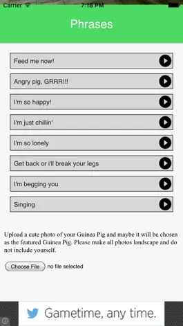 Game screenshot Guinea Pig Communicator apk
