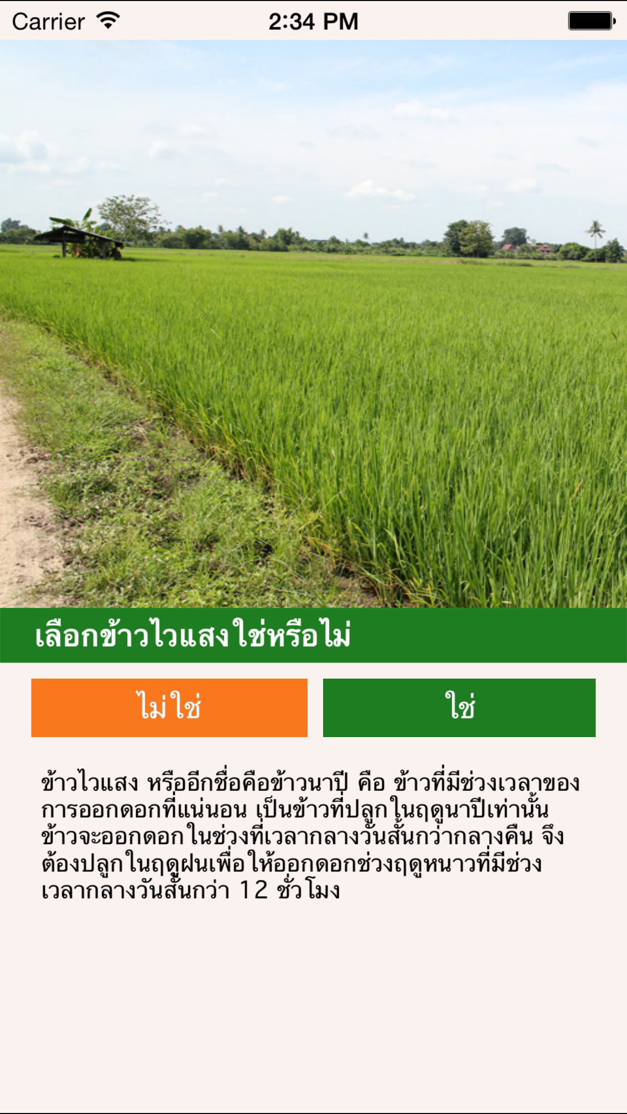Onfarm Thai LDD
